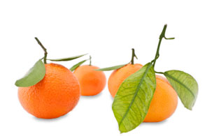 white tangerine